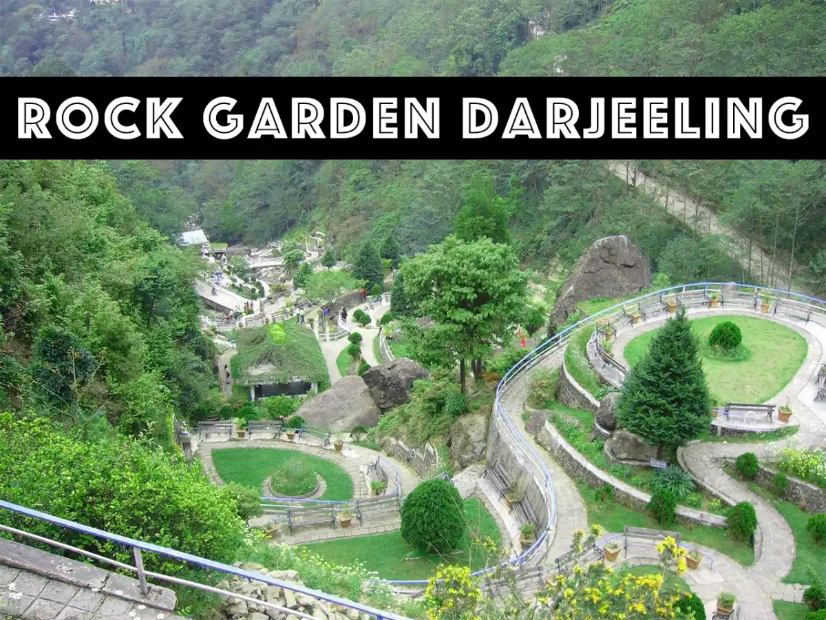 Rock Garden